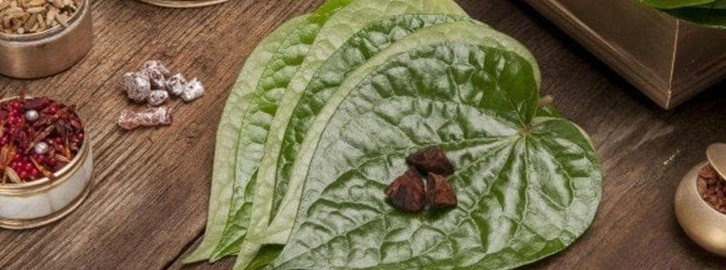 Khamisa Paan cover