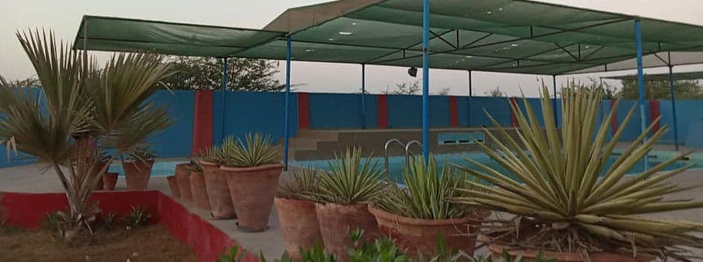 Palm Farmhouse Karachi cover