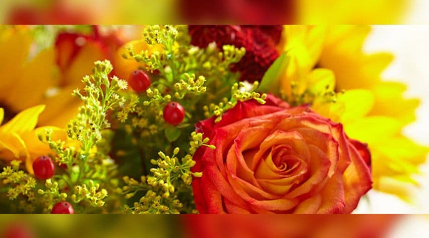 1800flowers.com cover