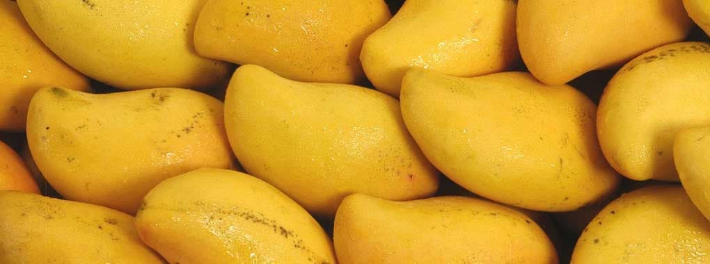 Afzal Mangoes cover