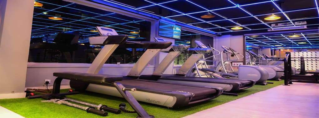 Alpha Fitness cover