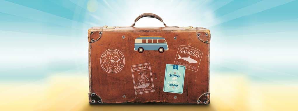 Branded Luggage cover