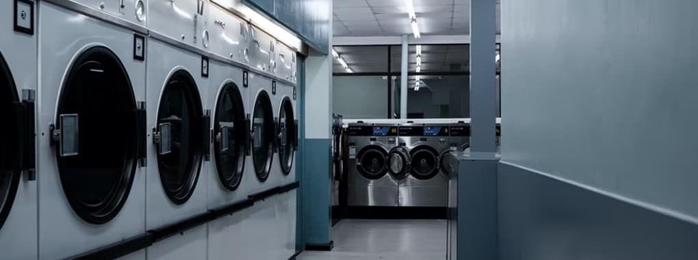 Chandni Dry Cleaners cover