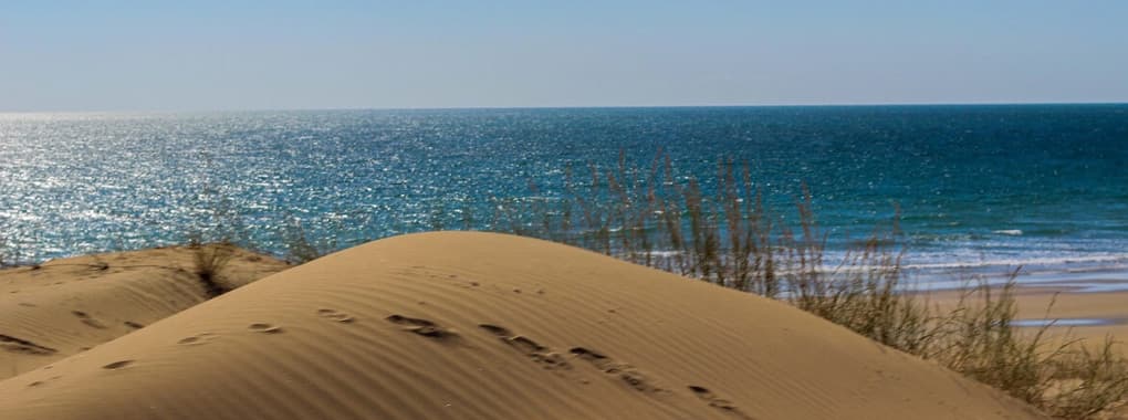 Crystal Beach Ormara cover