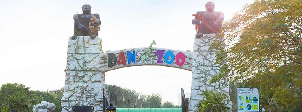 Danzoo cover