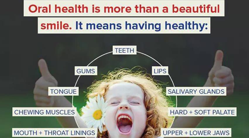 Dental Expert cover