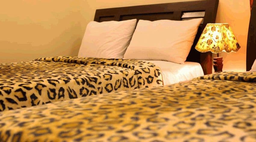 Elegance Palace Guest House  cover