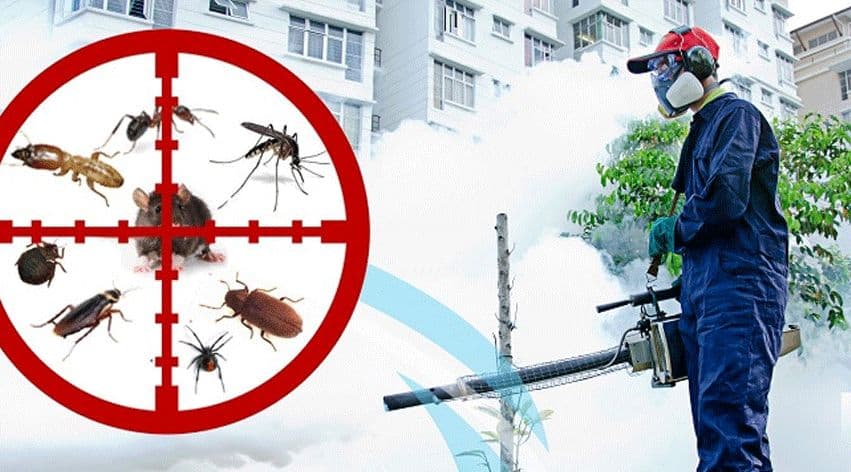 Evergreen Fumigation cover