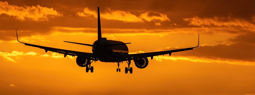 Fly Ezee Travel & Tours cover