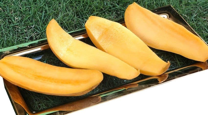 Fruitofy cover