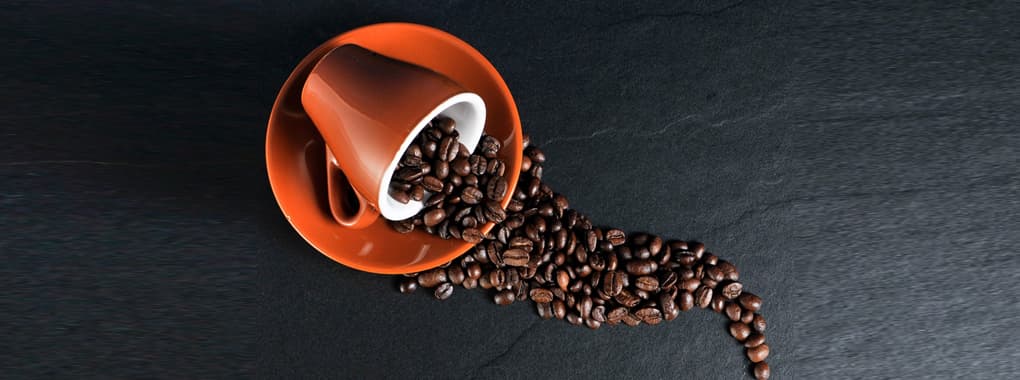Grão Coffee Co.  cover photo