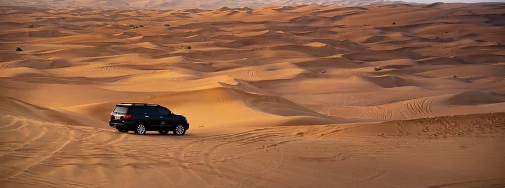 Royal Desert Tours LLC cover