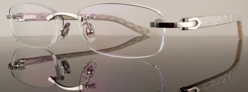 Sash Optics cover