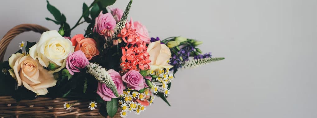 Send Gifts and Flowers.com cover