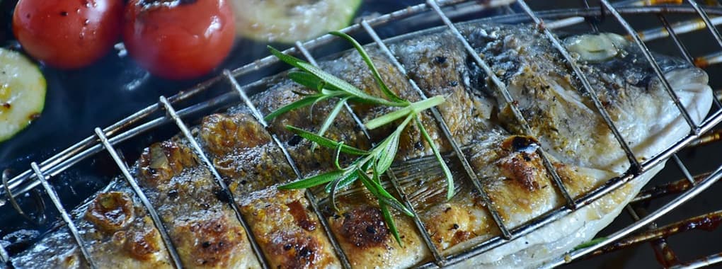 Shah G BBQ cover