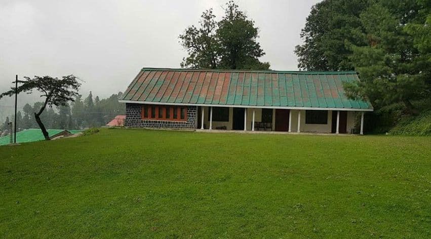 Silver Pine Meadows cover