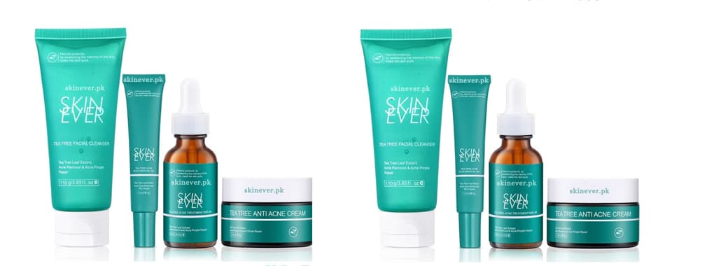 Skin Ever cover