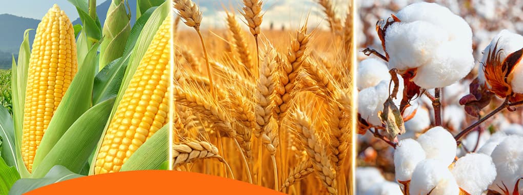 Sona Centre cover photo
