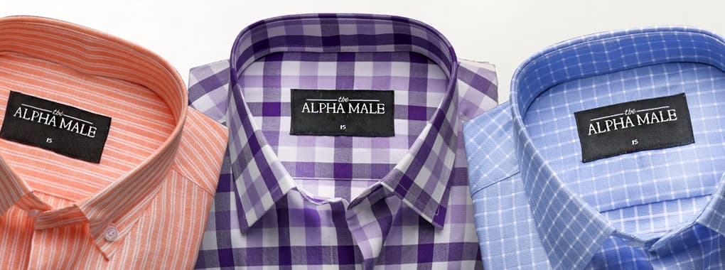 The Alpha Male cover