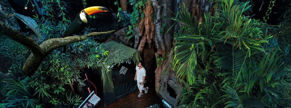 The Green Planet Dubai cover