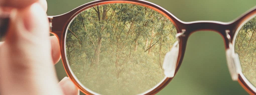 The Optics cover