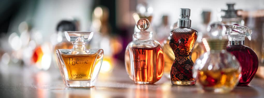 The perfumes shop cover