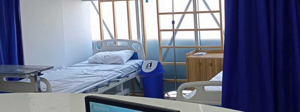 The Wellness Hospital cover
