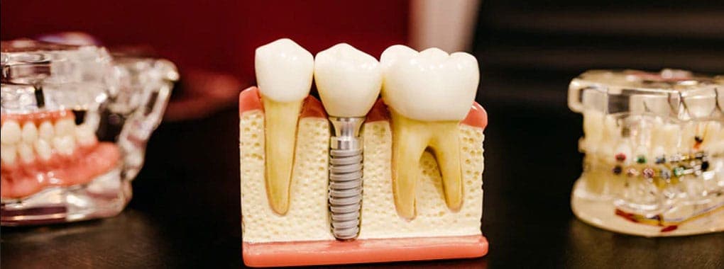 The Dentalist cover