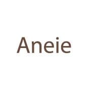 Aneie (Step To Future)