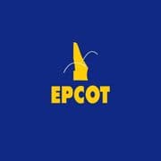Epcot Shoes