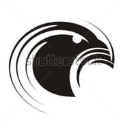 Hawks Eye