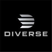 The Diverse Store 