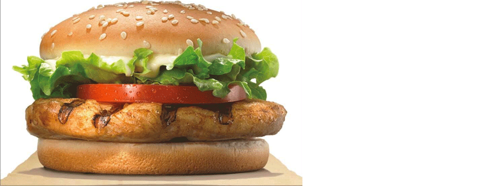Burger Expert cover