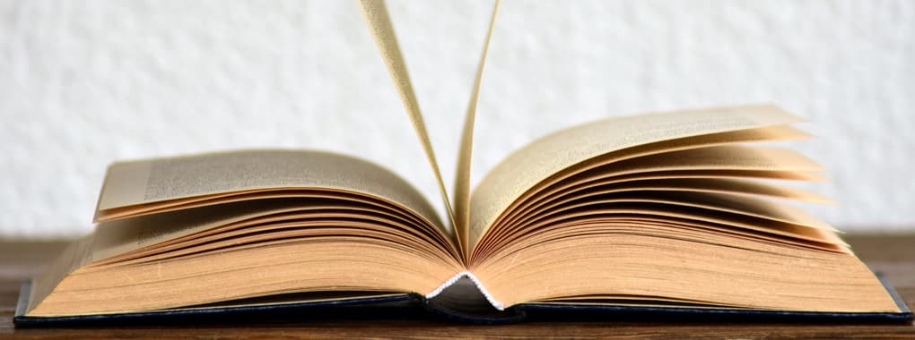 City Public School cover