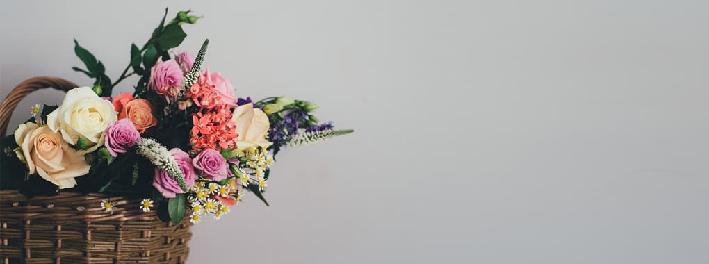 Clifton Flowers cover