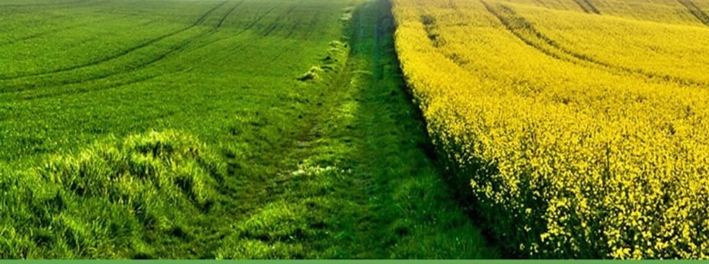 Green Agrimall cover