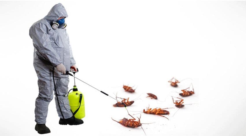 Indus Fumigation cover