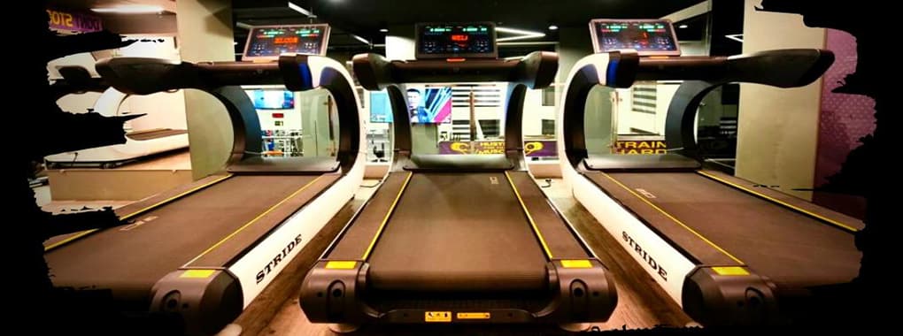 M Fit cover