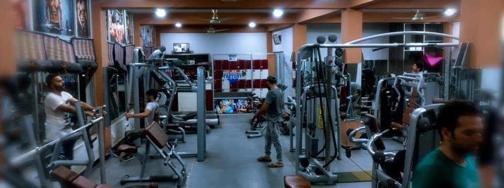 Muscle Factory cover