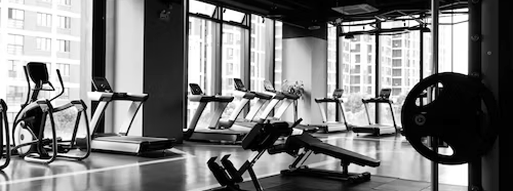 Muscle World Body Building & Fitness GYM cover