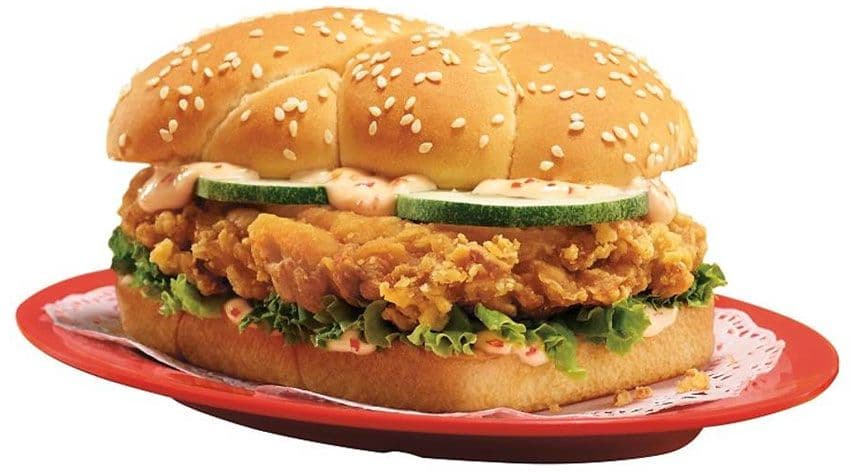 Saeen Fast Food & Biryani cover