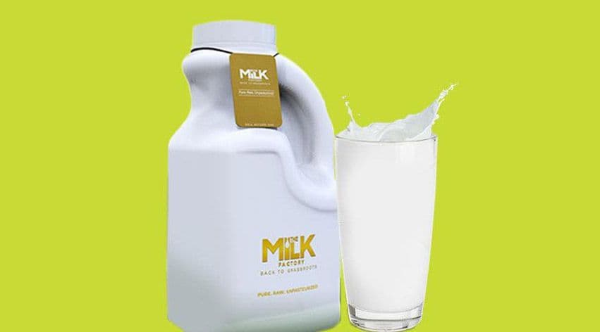 The Milk Factory cover
