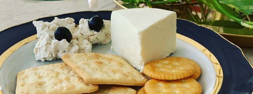 Yayycheese cover