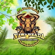 Nawabzada Cattle Farm